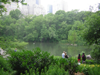 central park