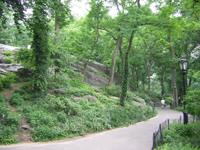 central park